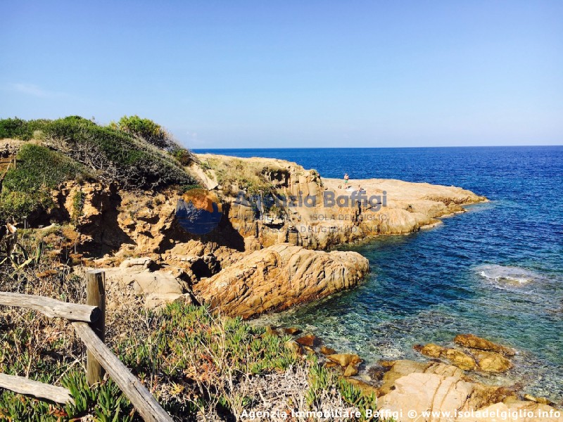 rent-gallery.alt_base