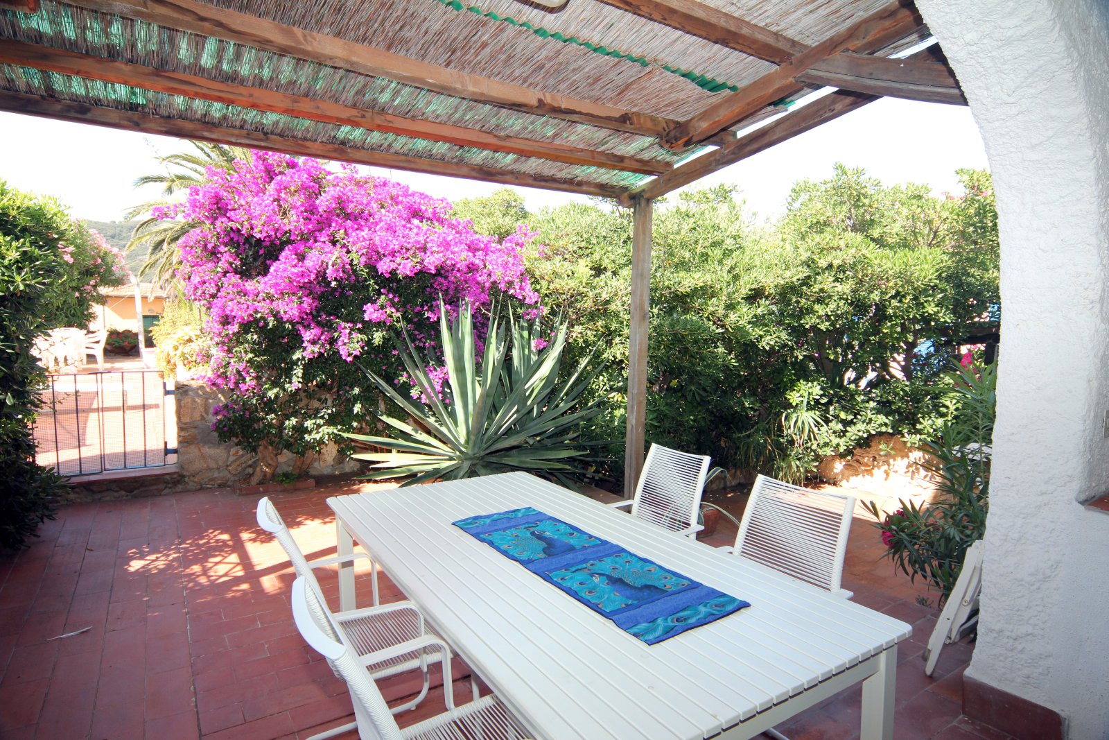 Apartment 35 in Giglio Campese