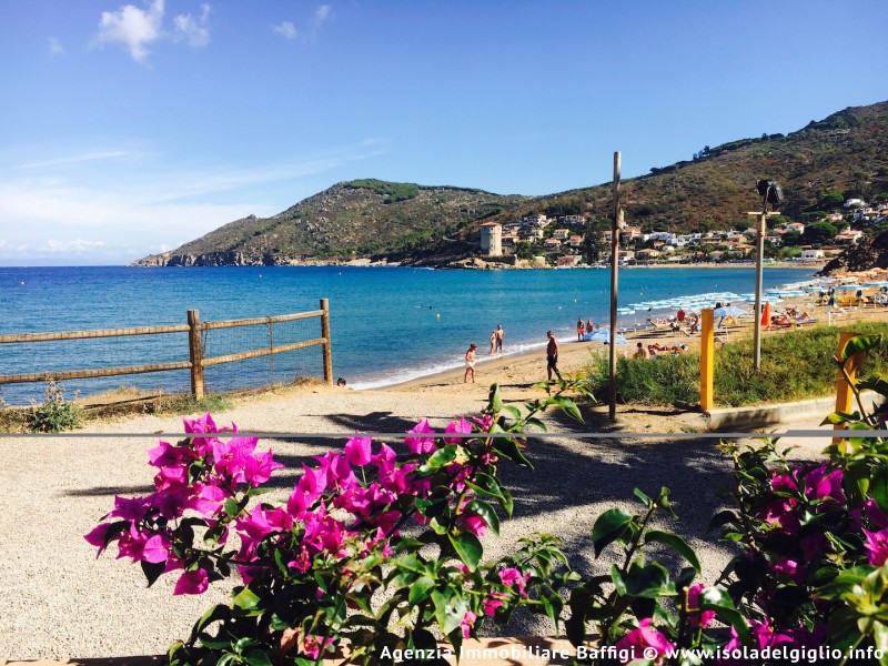 Apartment 03 in Giglio Campese