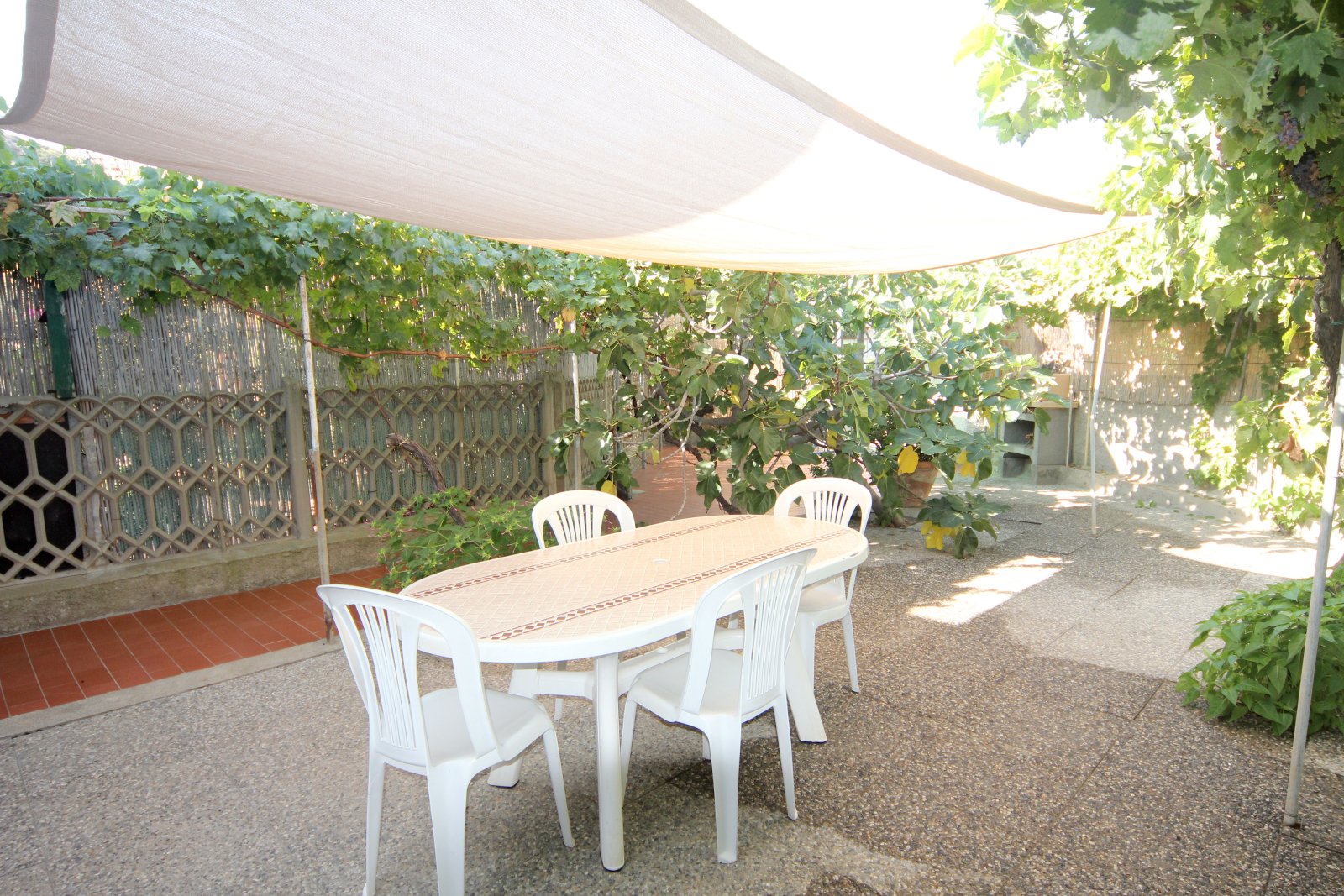 Apartment 55 in Giglio Campese